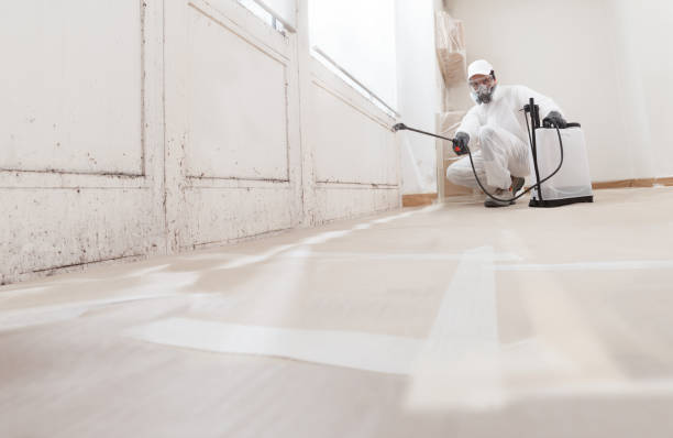 24/7 Emergency Black Mold Remediation experts in Ramsey, NJ