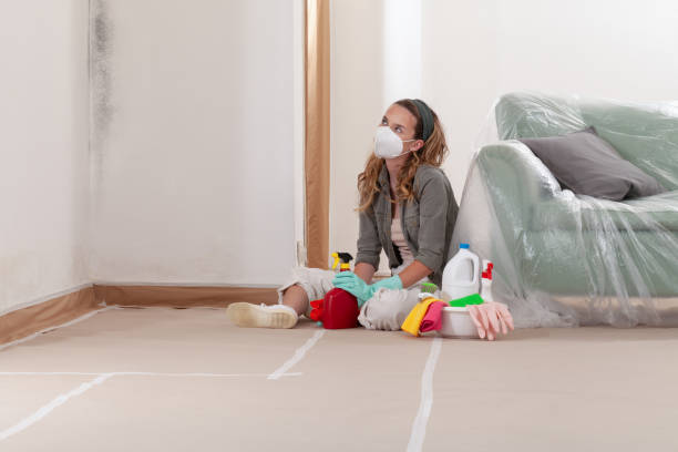 Reliable Black Mold Remediation contractor in Ramsey, NJ by 24 Hour Mold Removal